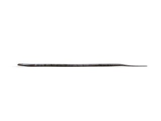 Realistic Indian Cobra - Crawling (profile-view) - Greenscreen Video - Looped - CGI