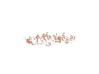 Ground fire - Lower Flame - Front view - v1 - Stock Footage