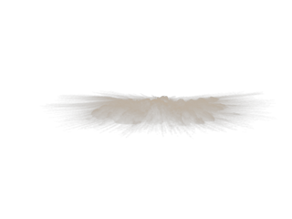 Dust shockwave v1 - frontcam - Stock Footage 